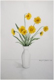 81_Coreopsis_1